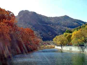 澳门二四六天天彩图库，汽车地板胶价格